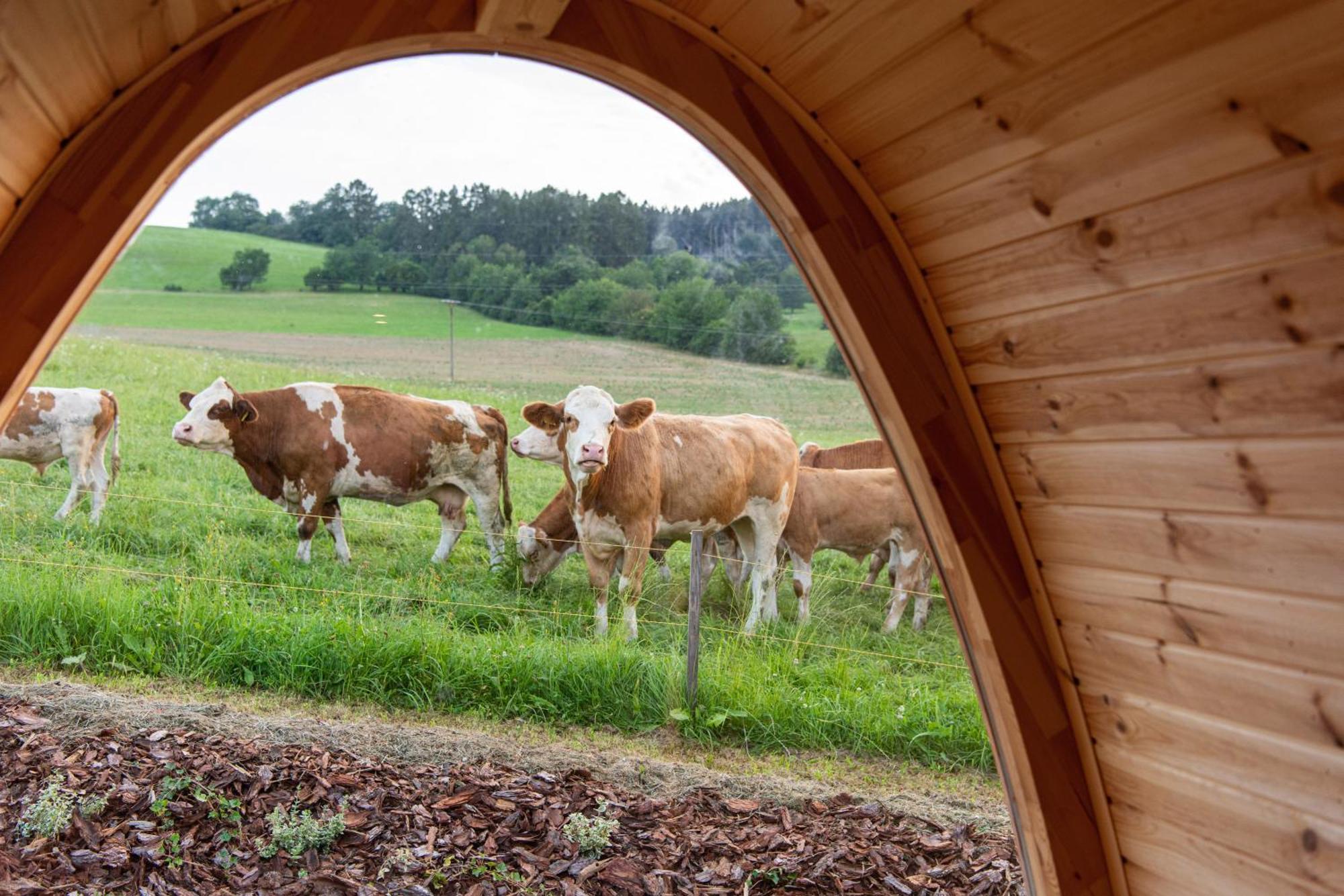 La Boheme Lodges And Glamping Vrhavec Экстерьер фото